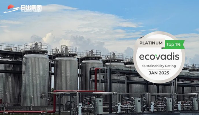 Top 1%！浙江日出醫(yī)化有限公司獲得EcoVadis鉑金認(rèn)證