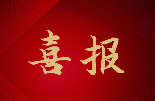 我司榮登2021中國石油和化工企業(yè)500強榜單第115位